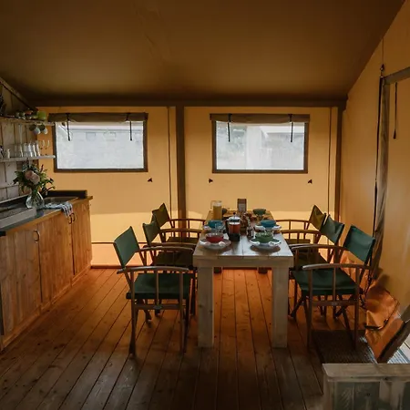 Damselfy Riverdale Yorkshire