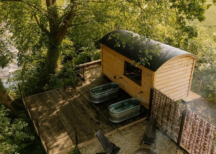 Damselfy Riverdale Yorkshire