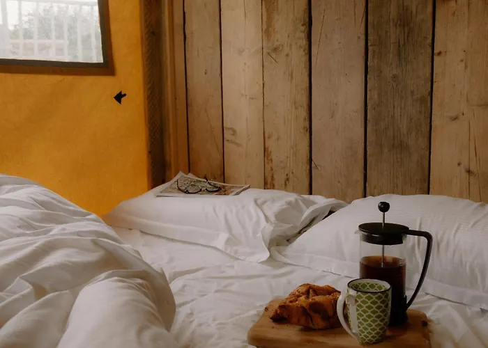 Luxe tent Damselfy Riverdale Yorkshire *