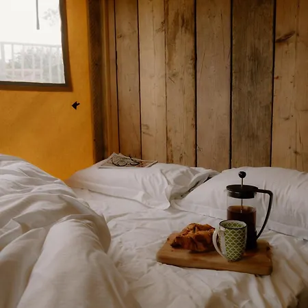 豪华帐篷 Damselfy Riverdale Yorkshire *