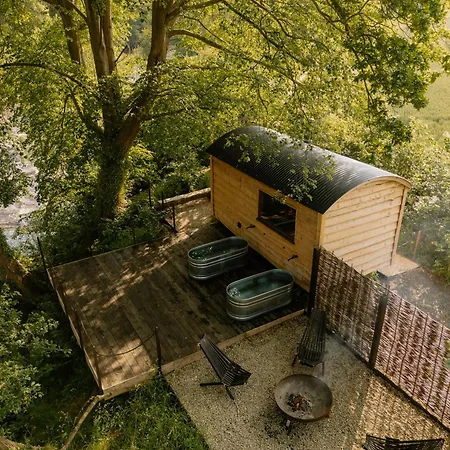 Damselfy Riverdale Yorkshire